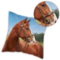 POSZEWKA 3D koń wybieg 40x40 cm