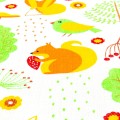 PIELUCHA TETROWA zwierzęta leśne