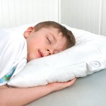 poduszka bambusowa 50x60 2.jpg