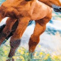 Ręcznik Koń solo 30x50 cm z haftem imiennym