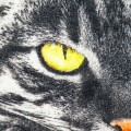Ręcznik 30x50 cm Kot meow z haftem imiennymi