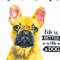 Ręcznik 30x50 cm Piesek Buldog 