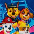 Ręcznik 30x50 cm Psi Patrol Paw Patrol