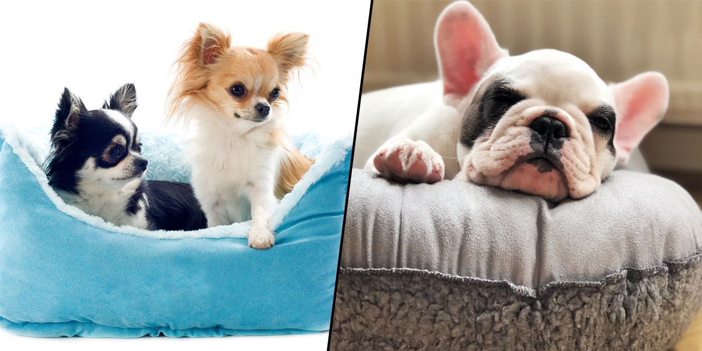 Koc dla psa do legowiska