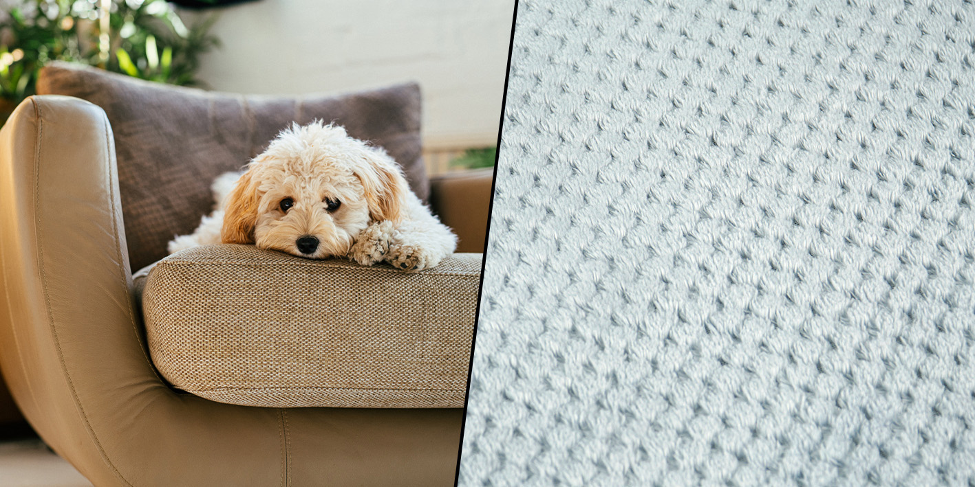 Koc dla psa kota na fotel