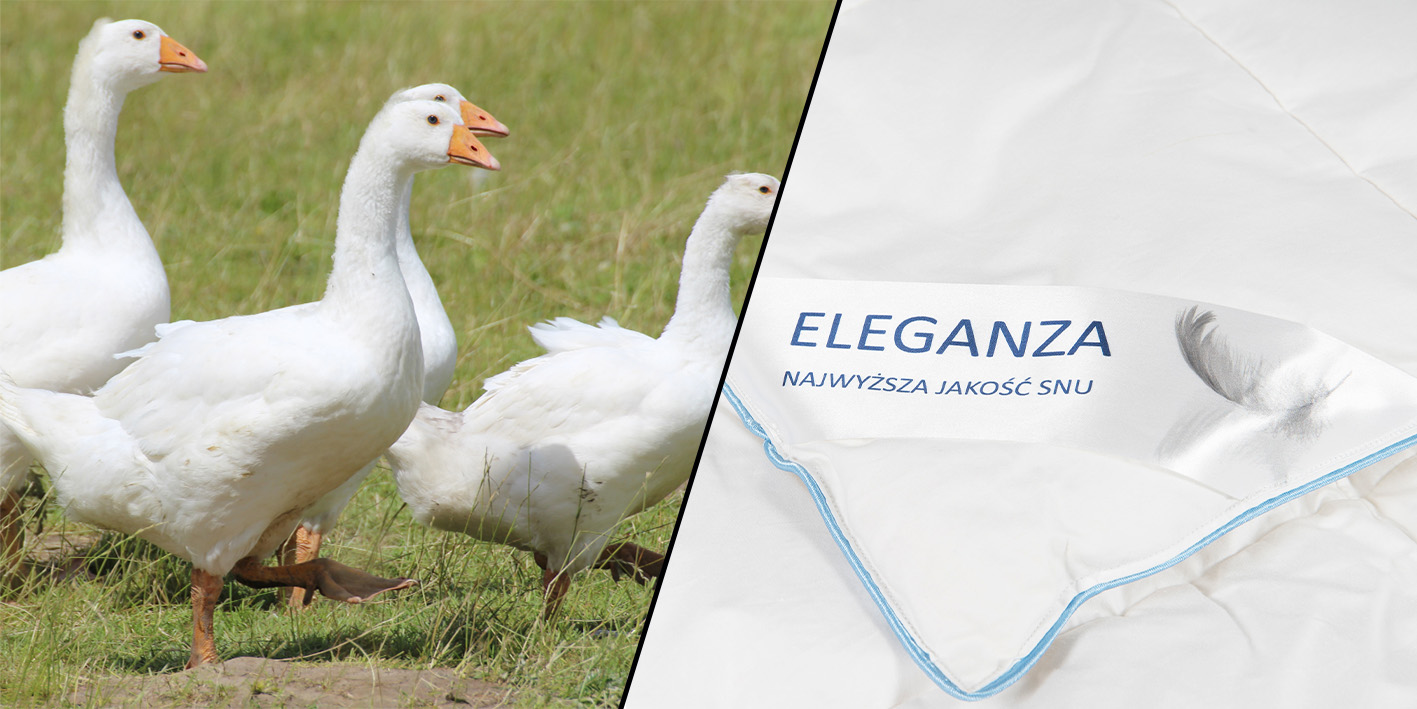 Kołdra puchowa zimowa poldaun eleganza