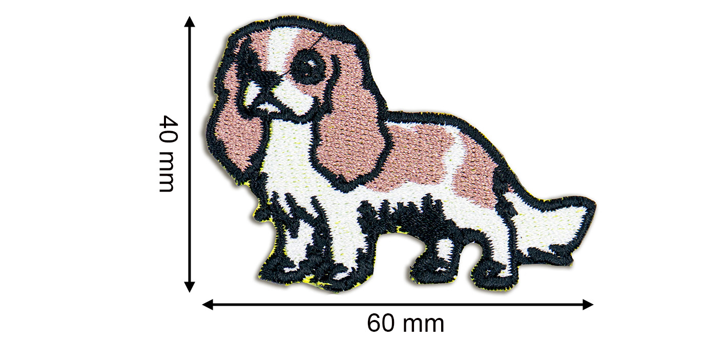 Naszywka naprasowanka cavalier king charles spaniel